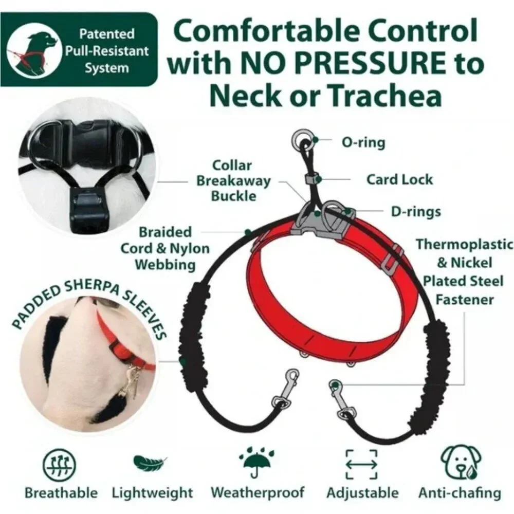 New Sporn Original Training Halter, No Pull Harness / Collar for Small Dog Black